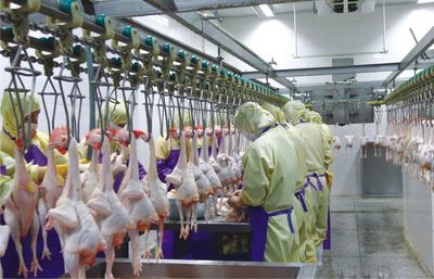 扶貧產業巡禮之六 廣西興業——深加工賦能，擘畫鄉村振興新藍圖