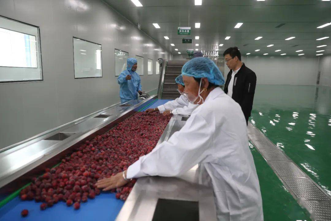 清水河縣 以綠色農產品加工產業園為引擎，譜寫鄉村產業振興新篇章